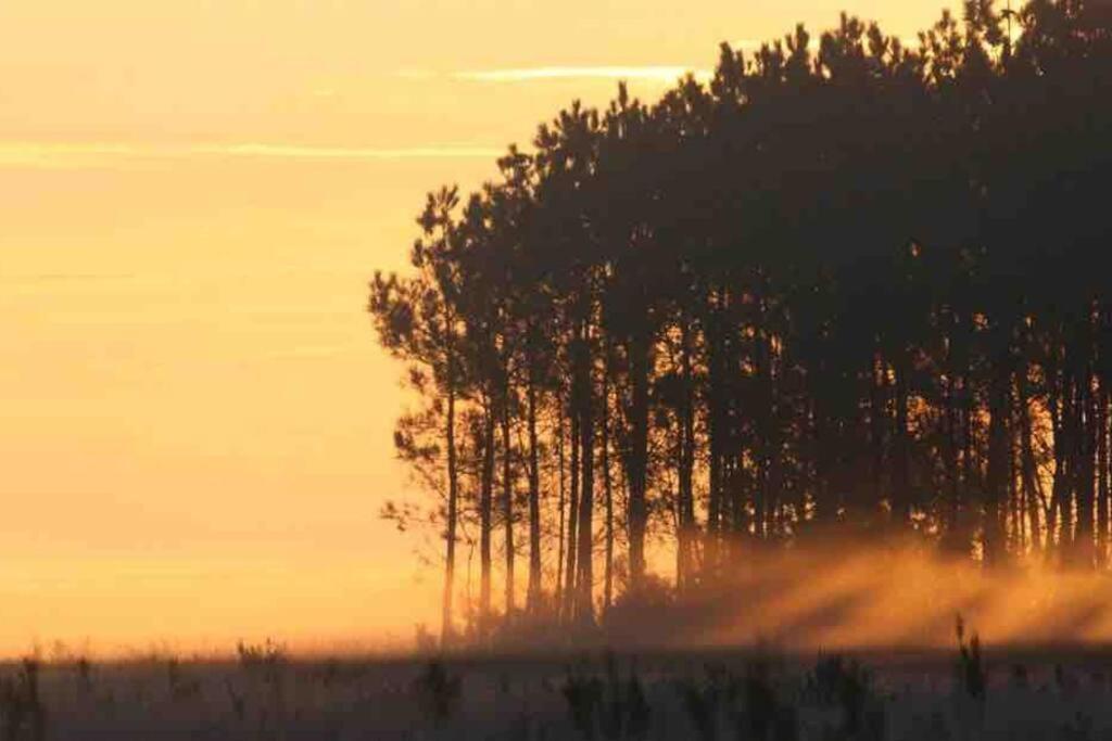 Chez Floflo Villa Rion-Des-Landes ภายนอก รูปภาพ
