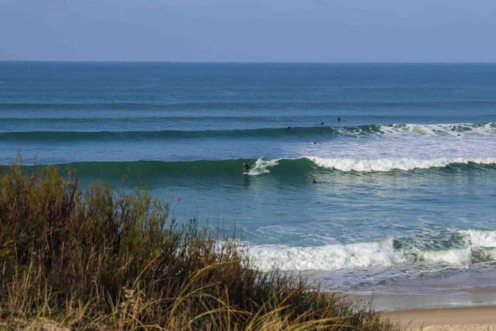 Chez Floflo Villa Rion-Des-Landes ภายนอก รูปภาพ